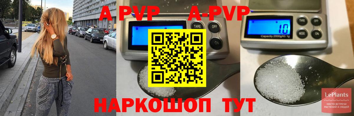 A-PVP СК КРИС Белебей