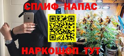 СК Балашиха