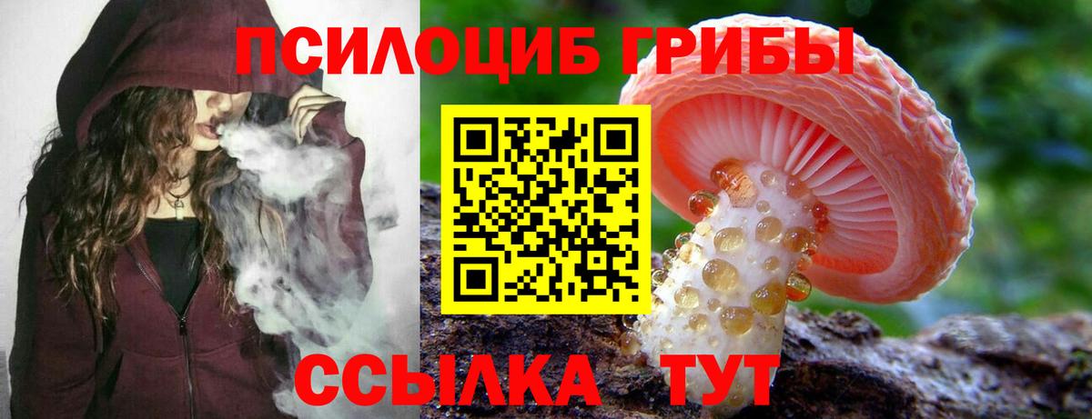 Псилоцибиновые грибы мухоморы  Вход с VPN  как найти наркотики  Белебей 
