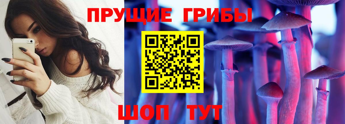 Псилоцибиновые грибы Psilocybine cubensis Белебей